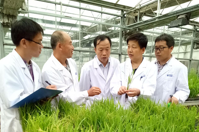 四氯蟲酰胺英文通用名tetrachlorantraniliprole獲ISO臨時(shí)批準(zhǔn)
